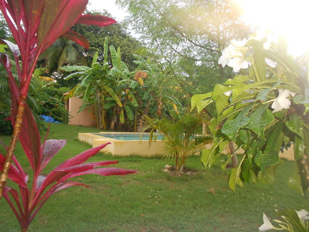 Gipsy Ranch Rooms Cabarete Bagian luar foto